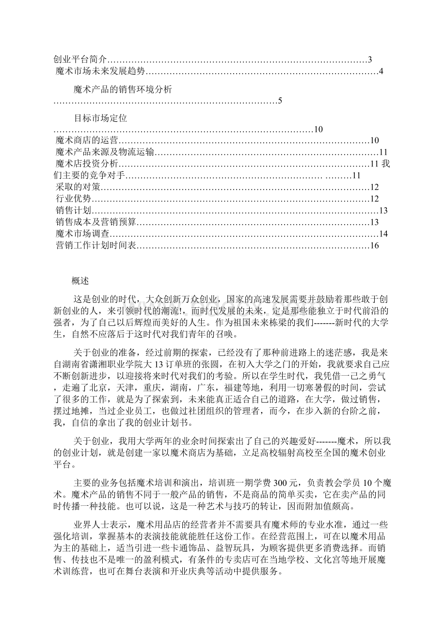 魔术店创业计划书大学毕业设计论文.docx_第2页