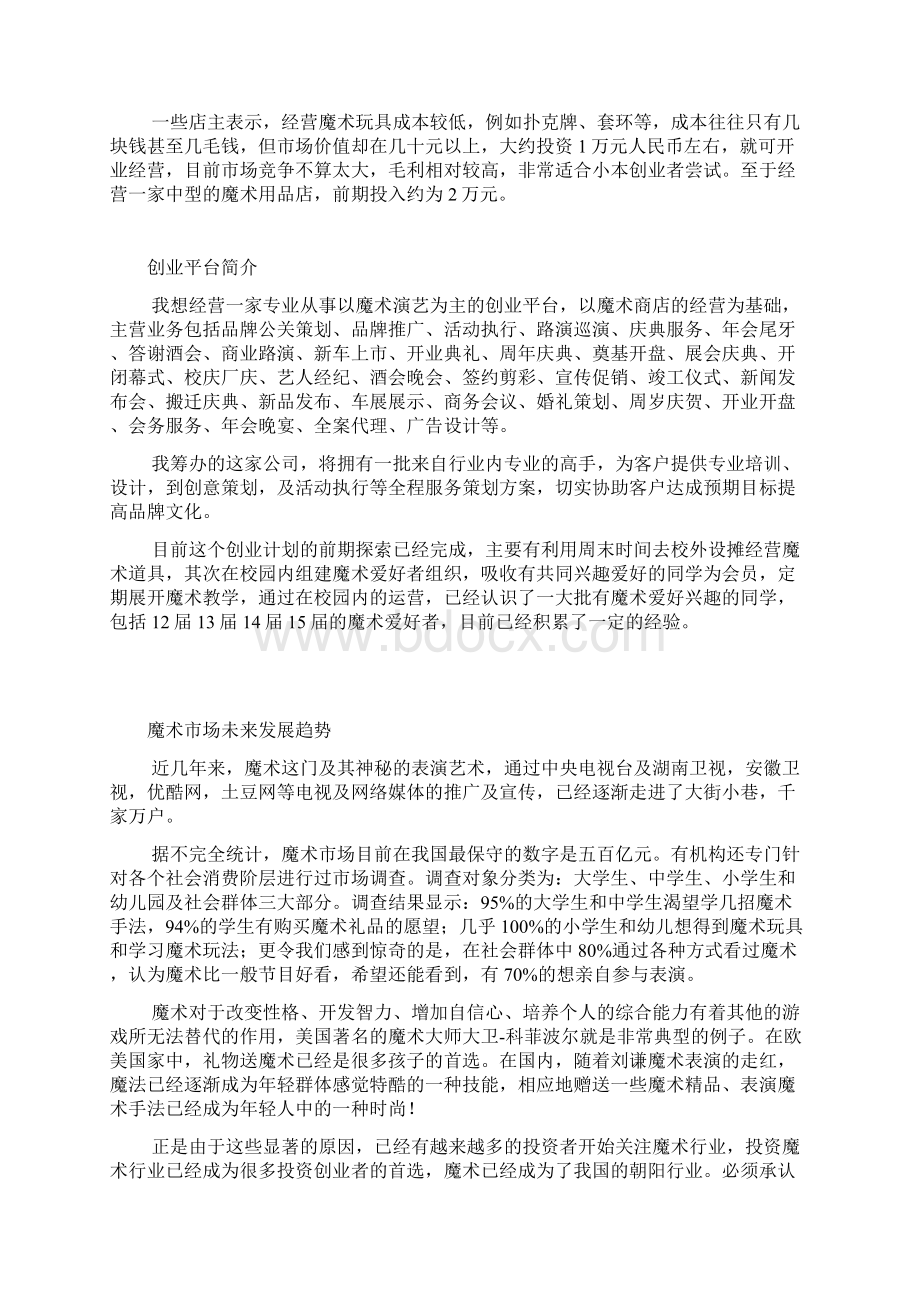 魔术店创业计划书大学毕业设计论文.docx_第3页