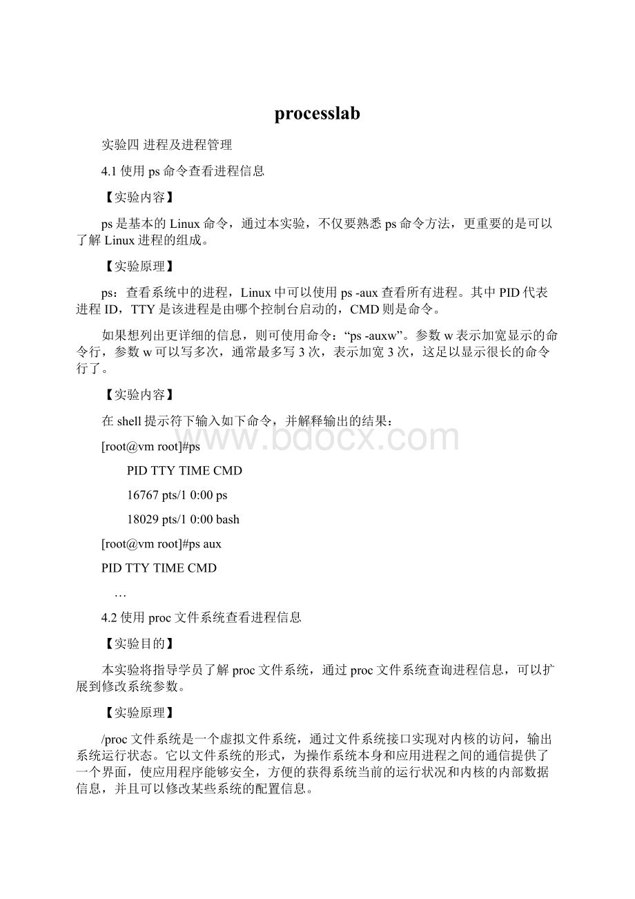 processlabWord文档格式.docx_第1页