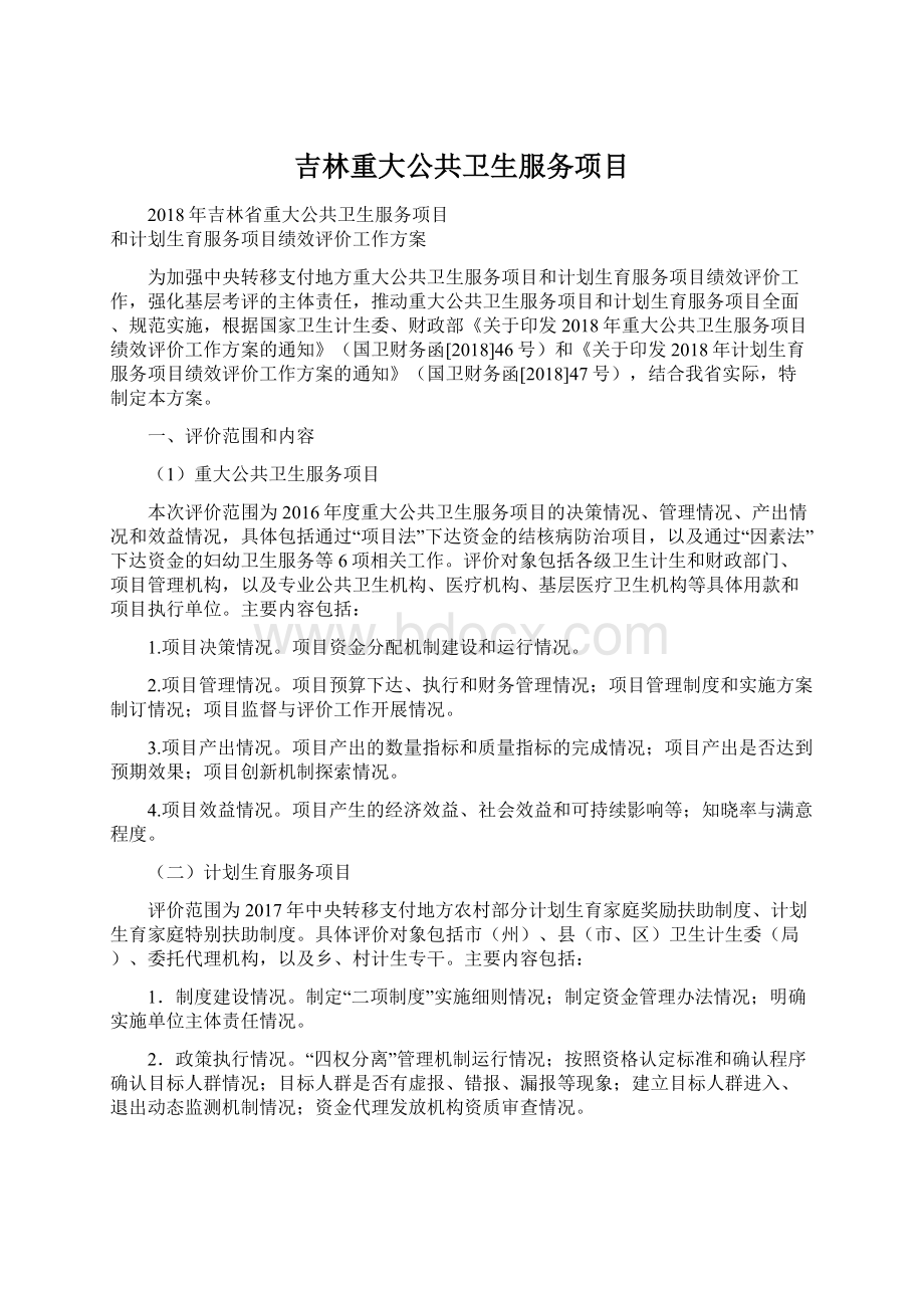 吉林重大公共卫生服务项目Word下载.docx_第1页