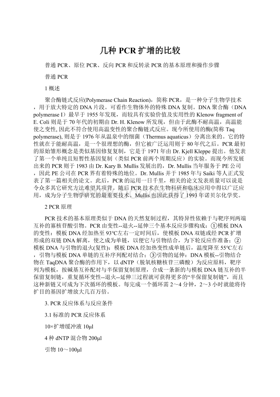 几种PCR扩增的比较Word格式文档下载.docx