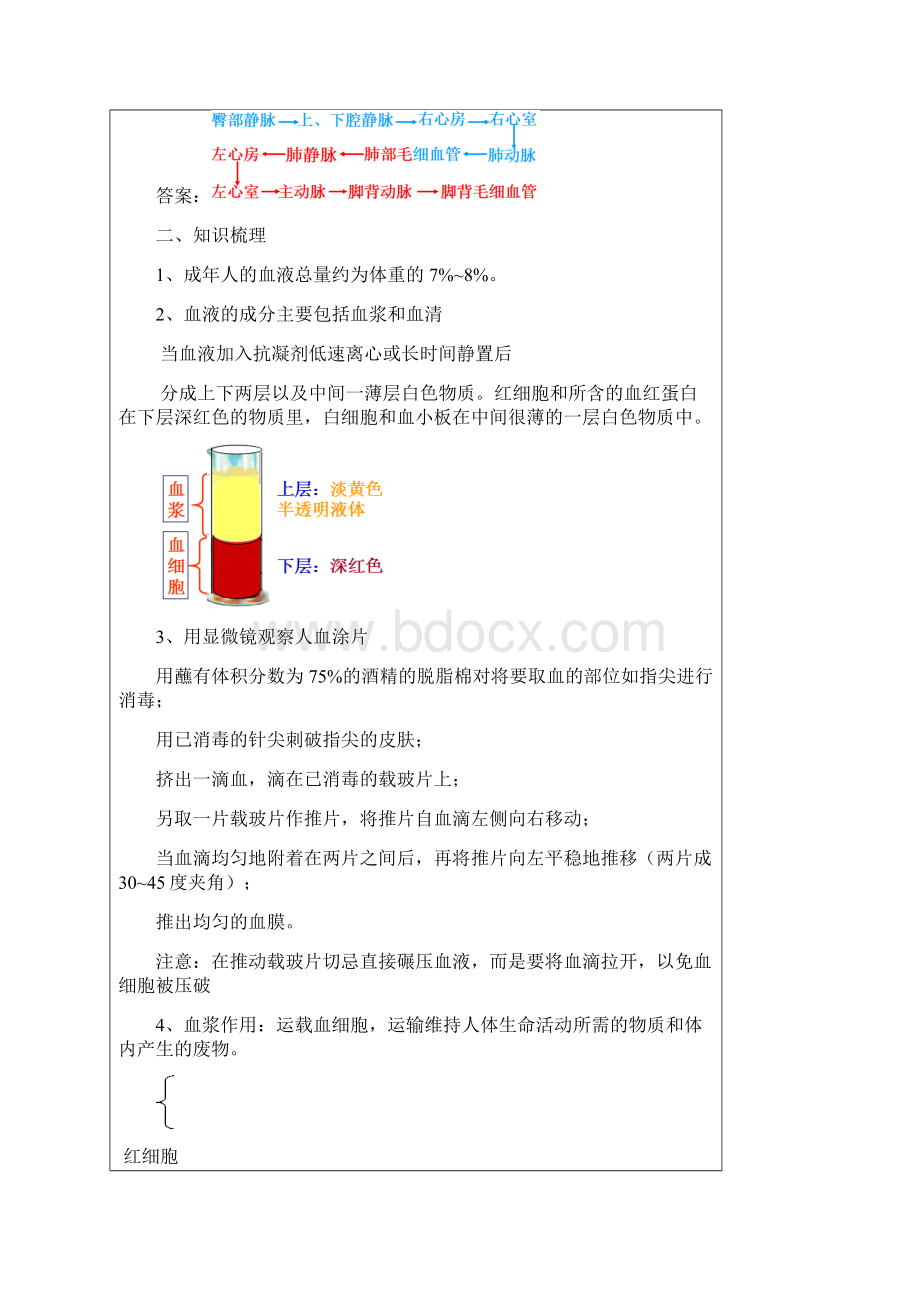 浙教版科学中考复习讲义光Word文档格式.docx_第2页