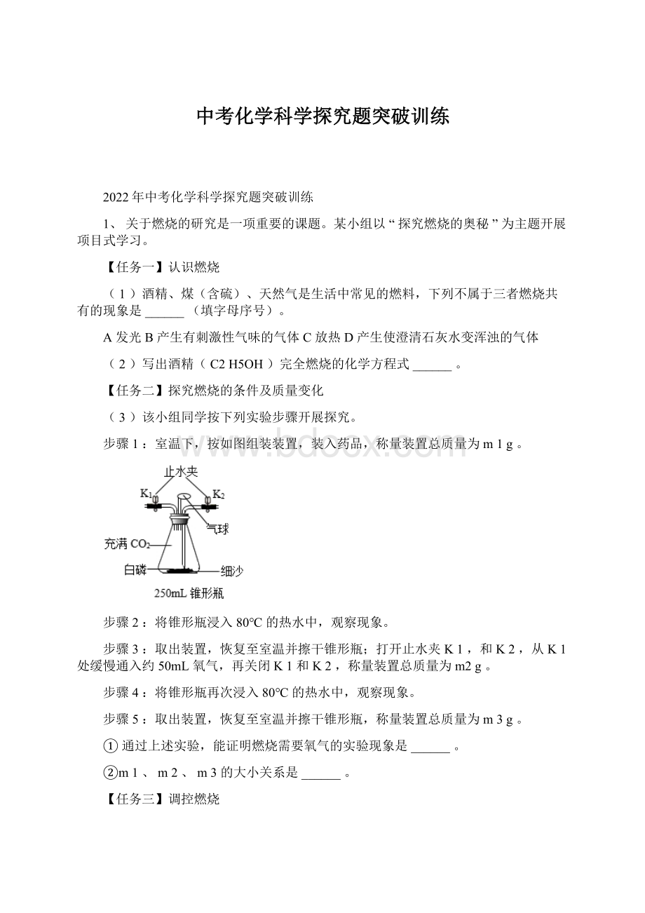 中考化学科学探究题突破训练.docx