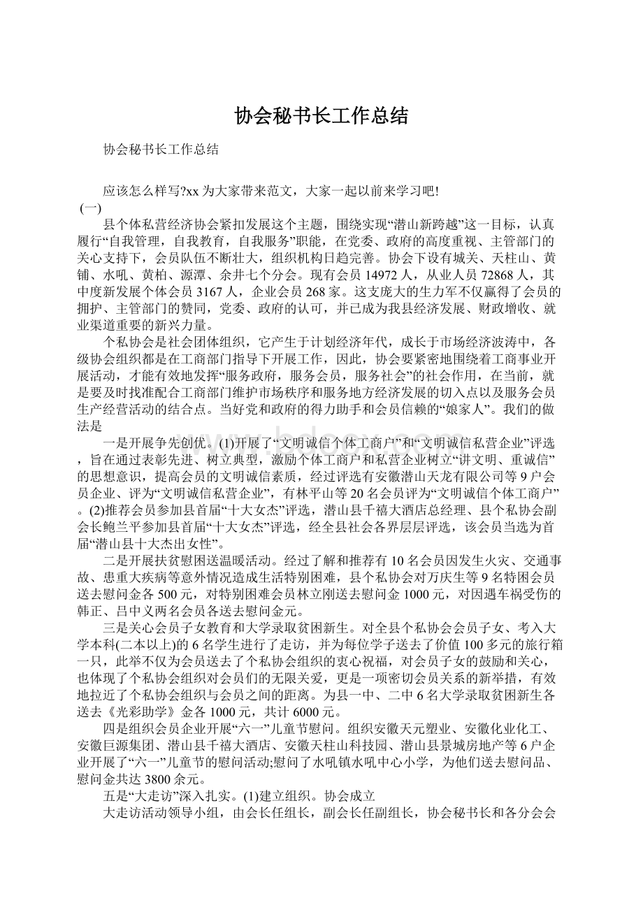 协会秘书长工作总结.docx