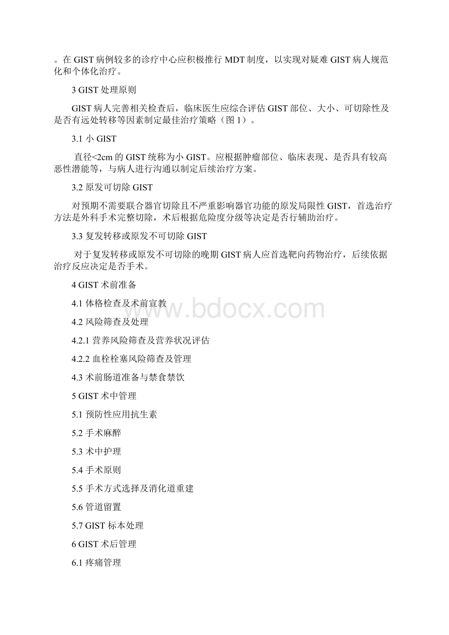 《胃肠间质瘤全程化管理中国专家共识版》要点文档格式.docx_第2页