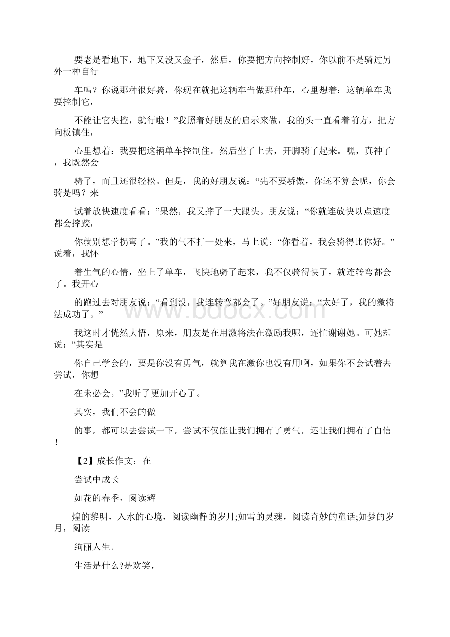 作文范文之尝试作文700字Word文档格式.docx_第3页