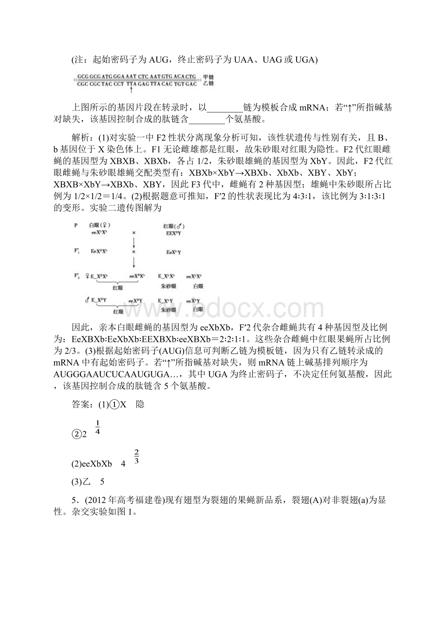 优化探究高考生物一轮复习 第2章 第2讲 基因在染色体上与伴性遗传提素能课时考点训练必修2文档格式.docx_第3页