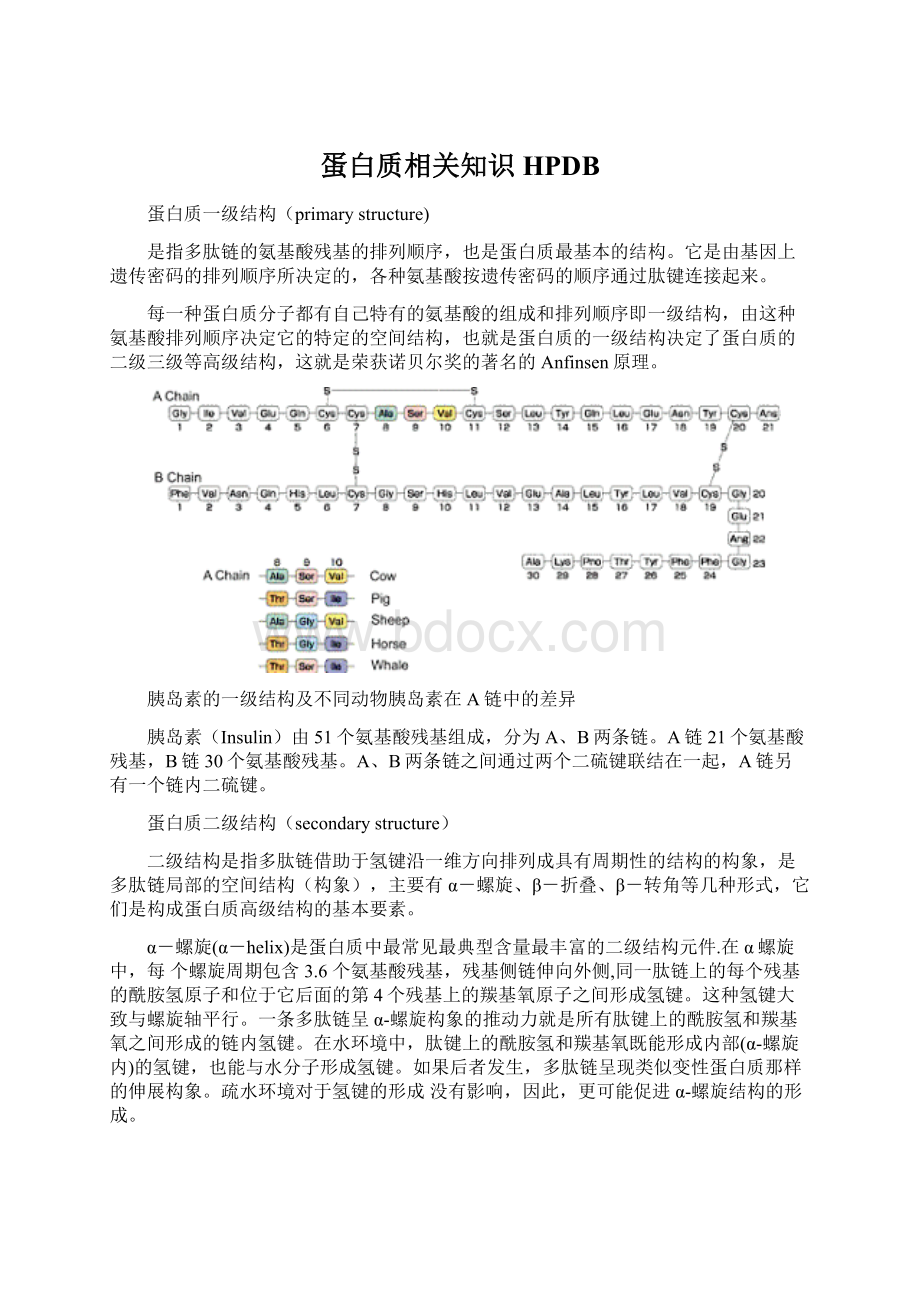 蛋白质相关知识HPDB.docx_第1页