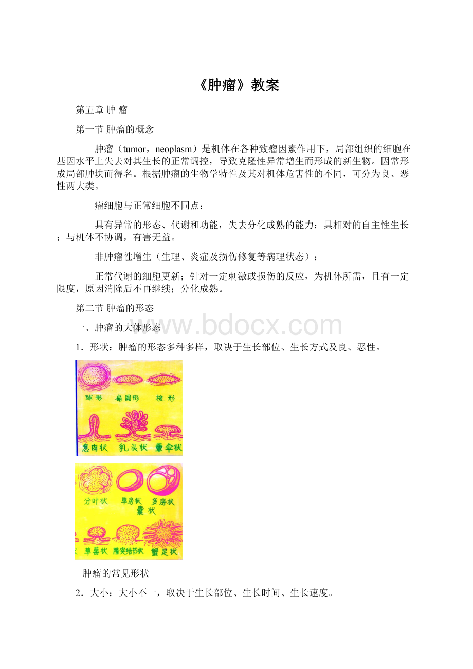 《肿瘤》教案.docx