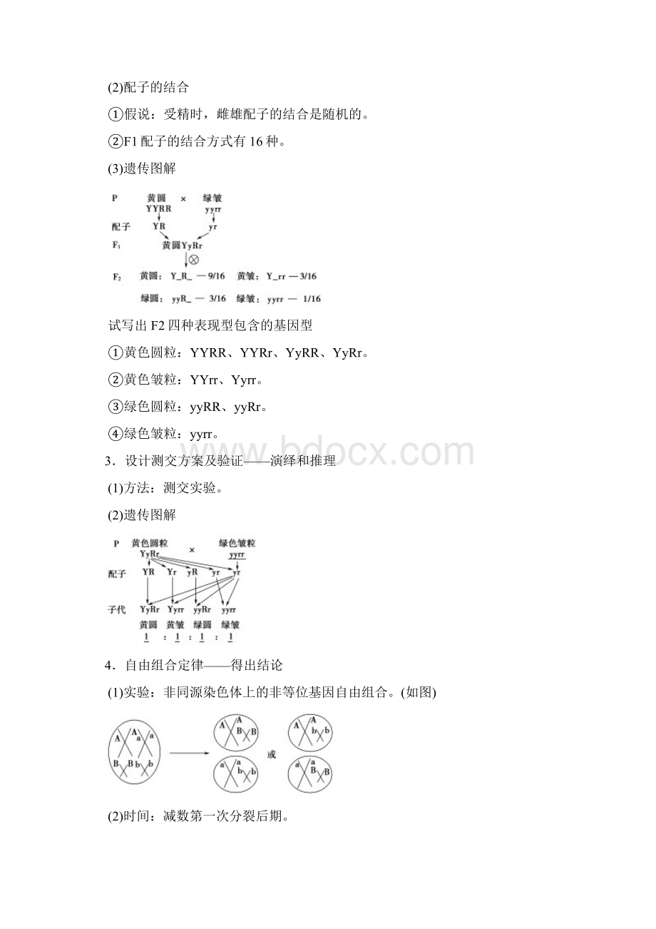 全国版版高考生物一轮复习第5单元遗传定律和伴性遗传第2讲孟德尔的豌豆杂交实验二学案.docx_第2页