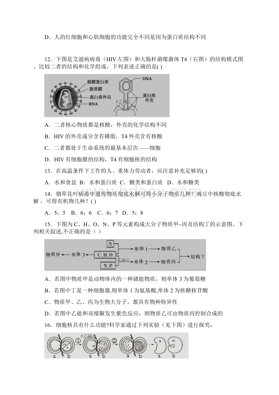 宁夏银川市第一中学学年高二生物上学期期中试题11140251Word格式文档下载.docx_第3页