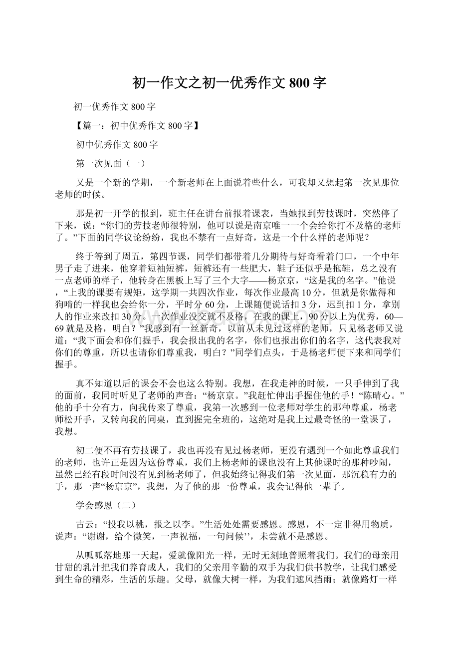 初一作文之初一优秀作文800字Word格式文档下载.docx