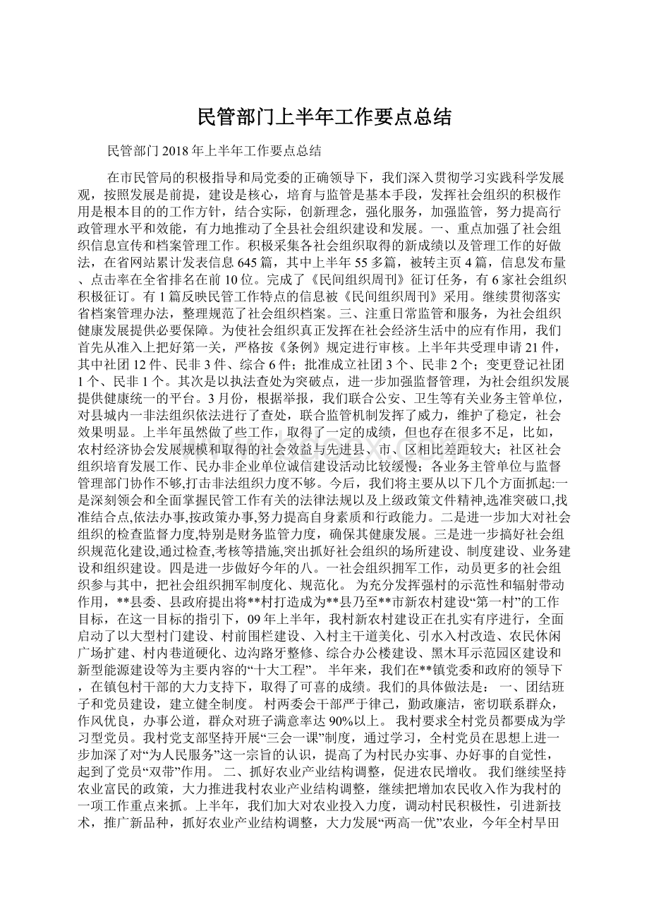 民管部门上半年工作要点总结.docx