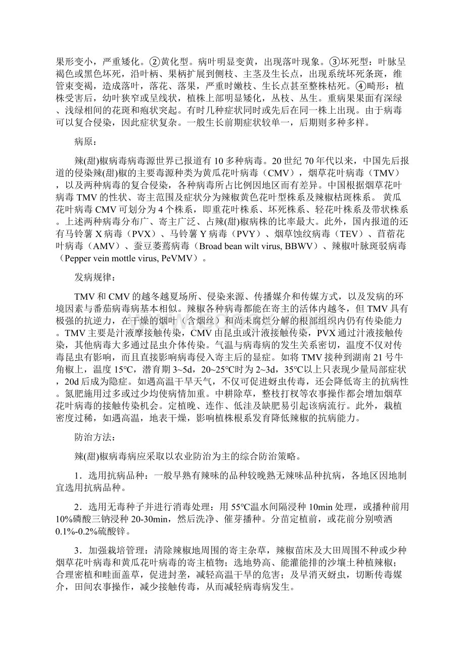 辣椒主要病害文档格式.docx_第2页