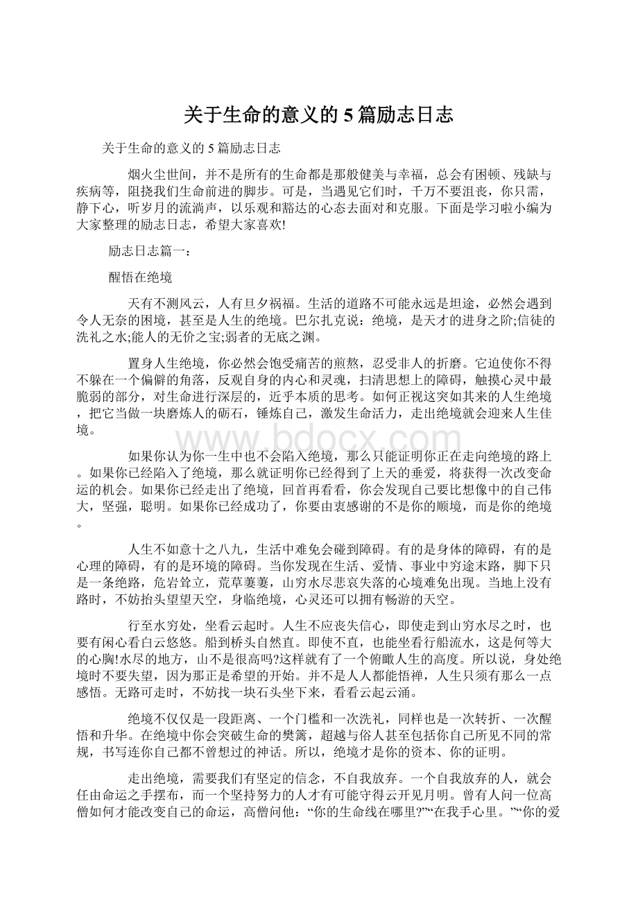 关于生命的意义的5篇励志日志Word文档格式.docx