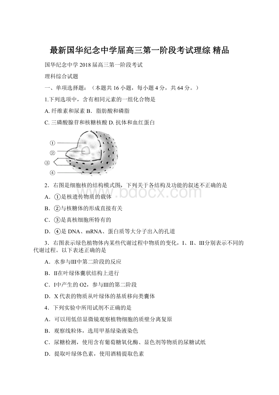 最新国华纪念中学届高三第一阶段考试理综 精品.docx