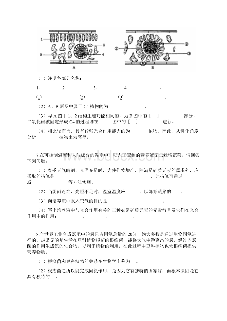 光合作用与生物固氮.docx_第2页