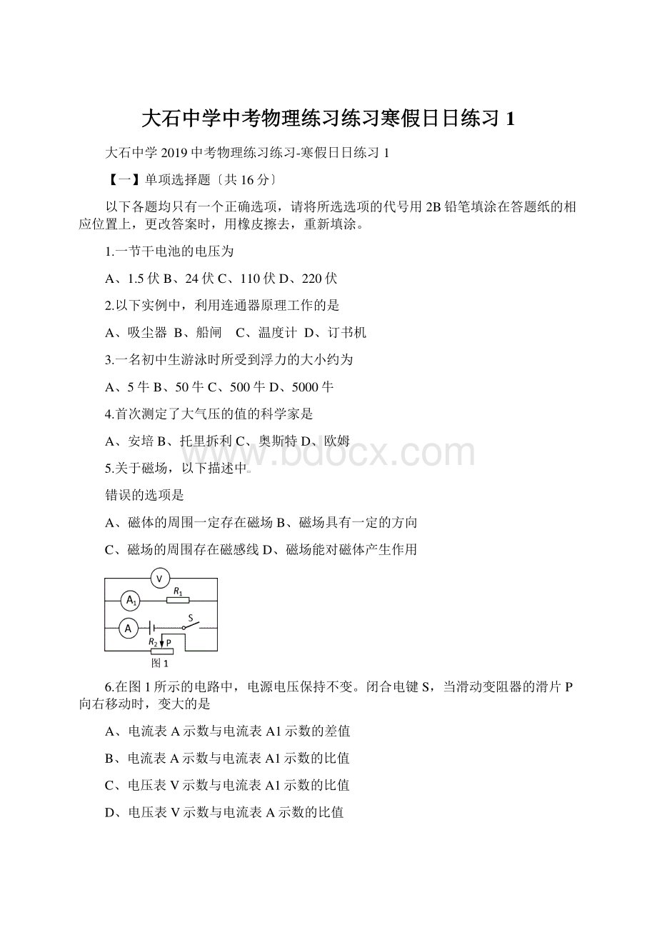 大石中学中考物理练习练习寒假日日练习1.docx_第1页