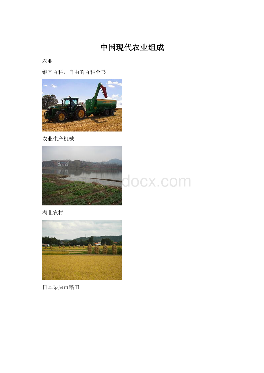 中国现代农业组成文档格式.docx