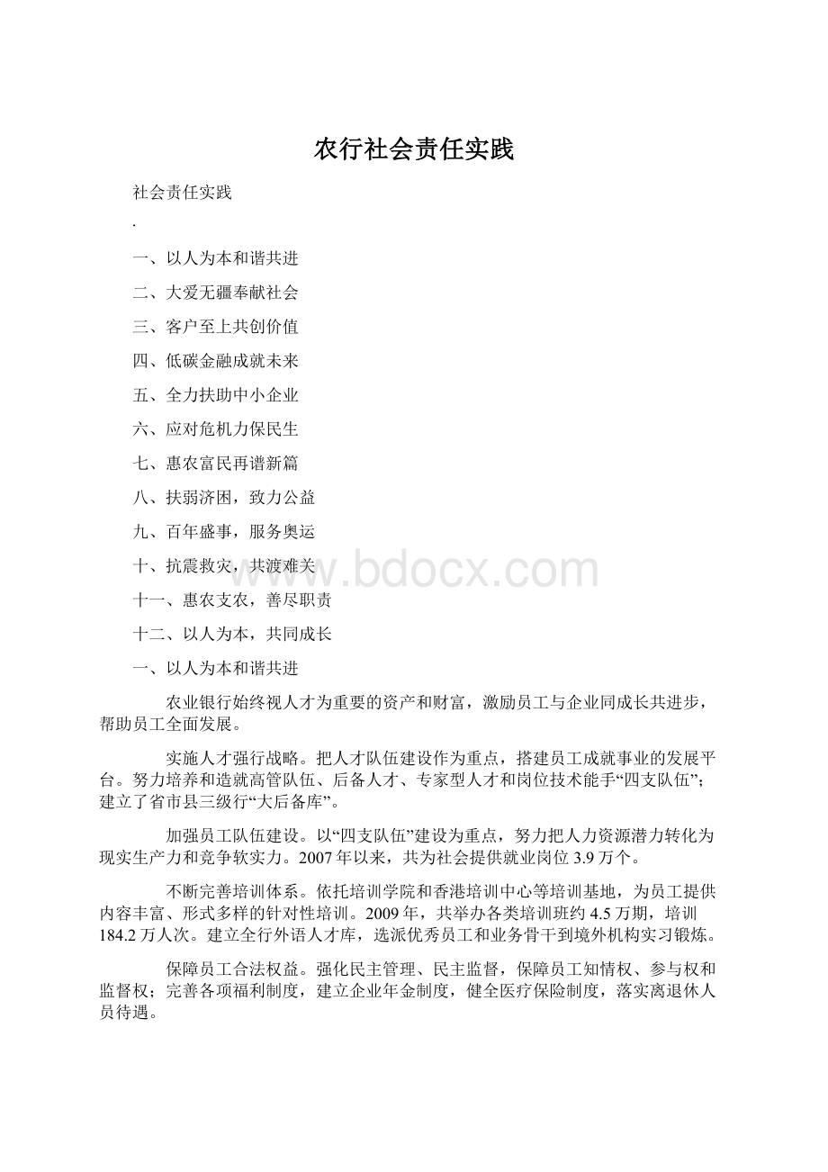 农行社会责任实践Word文档格式.docx