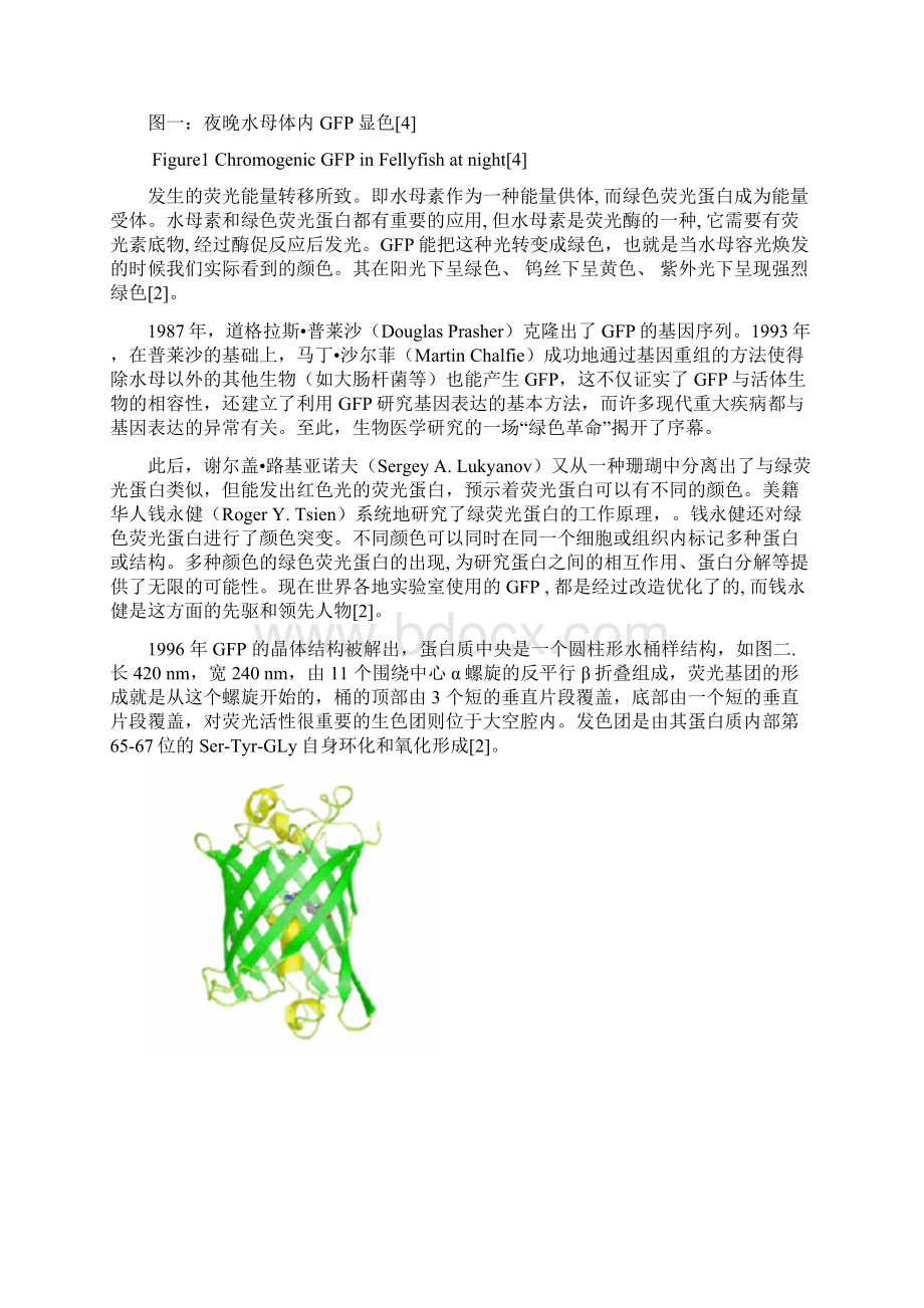 绿色荧光蛋白GFP基因的克隆与表达.docx_第3页