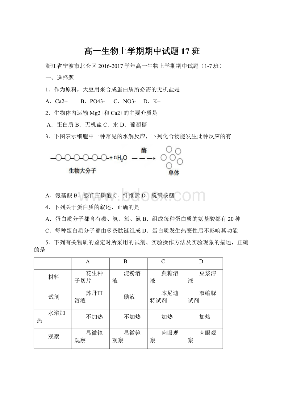 高一生物上学期期中试题17班Word文档格式.docx_第1页