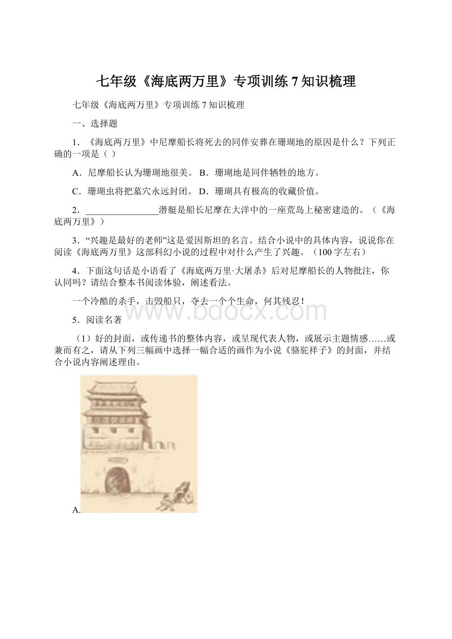 七年级《海底两万里》专项训练7知识梳理Word下载.docx_第1页