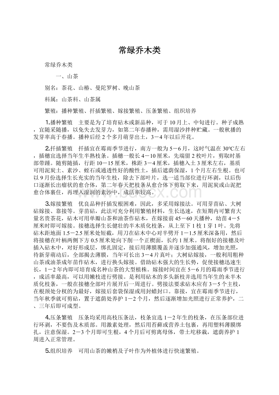 常绿乔木类Word格式.docx