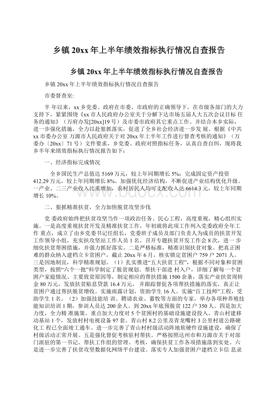 乡镇20xx年上半年绩效指标执行情况自查报告Word文档下载推荐.docx