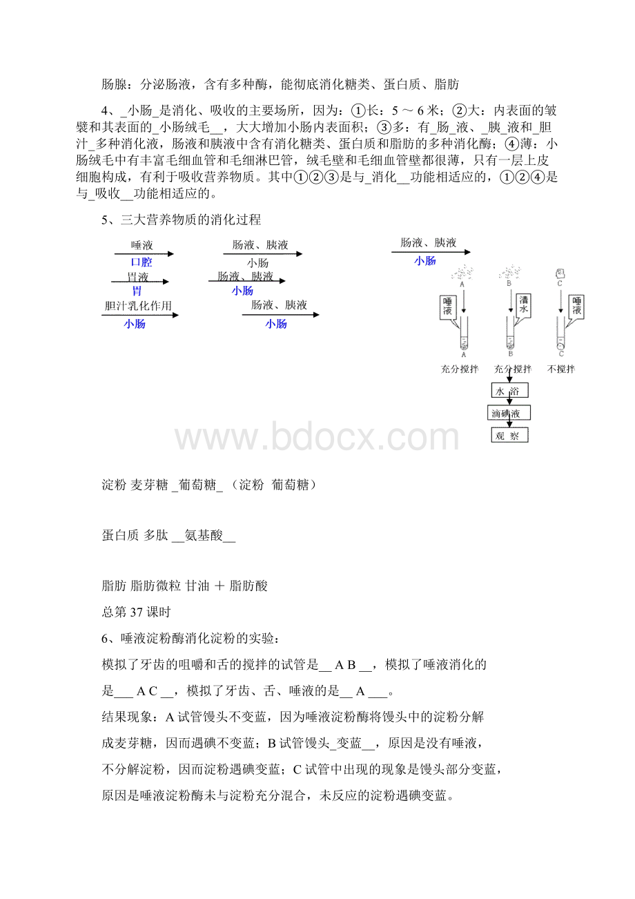 七年级复习教案.docx_第3页