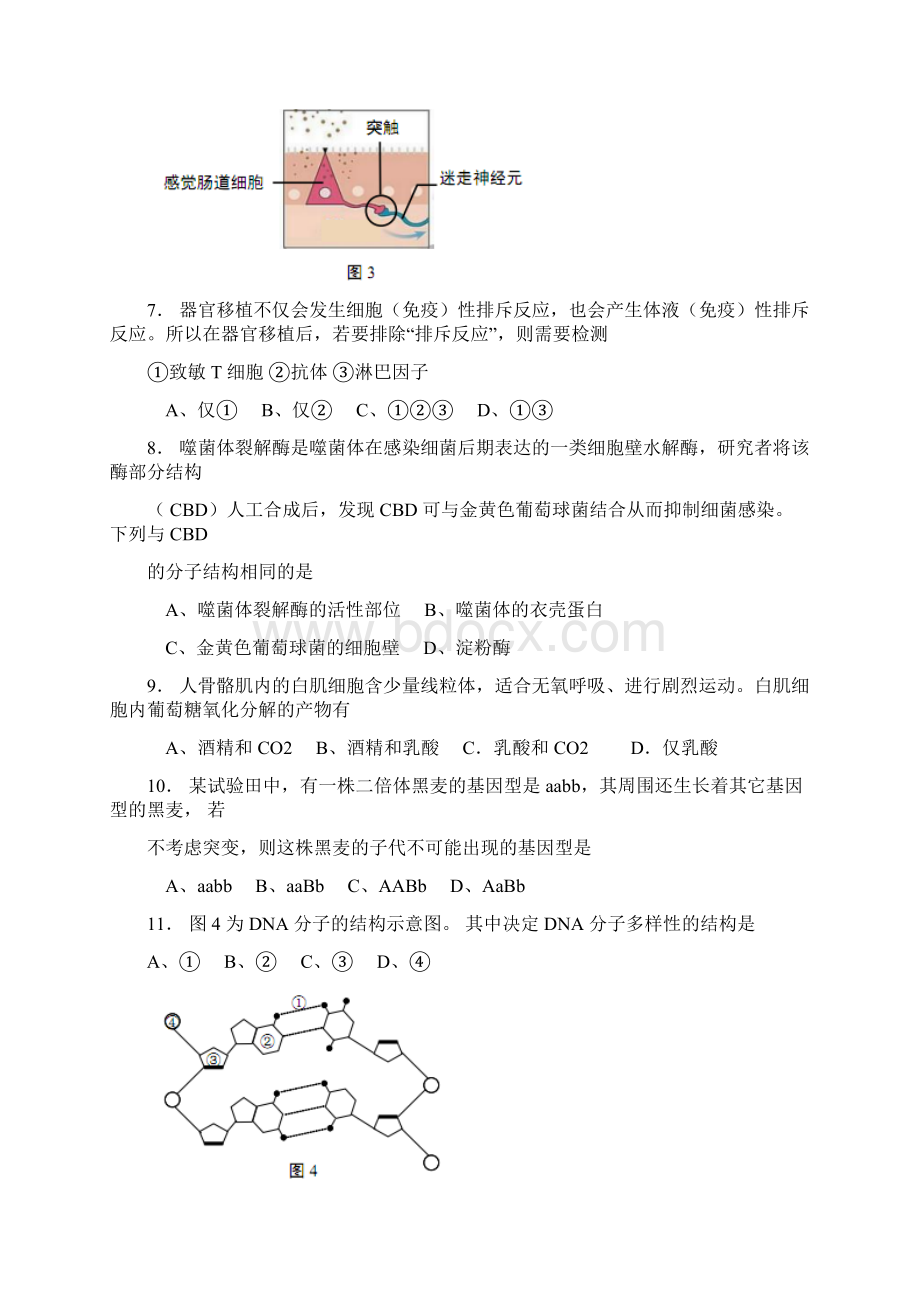 上海市崇明区届高三等级考第一次模拟生命科学试题含答案.docx_第3页