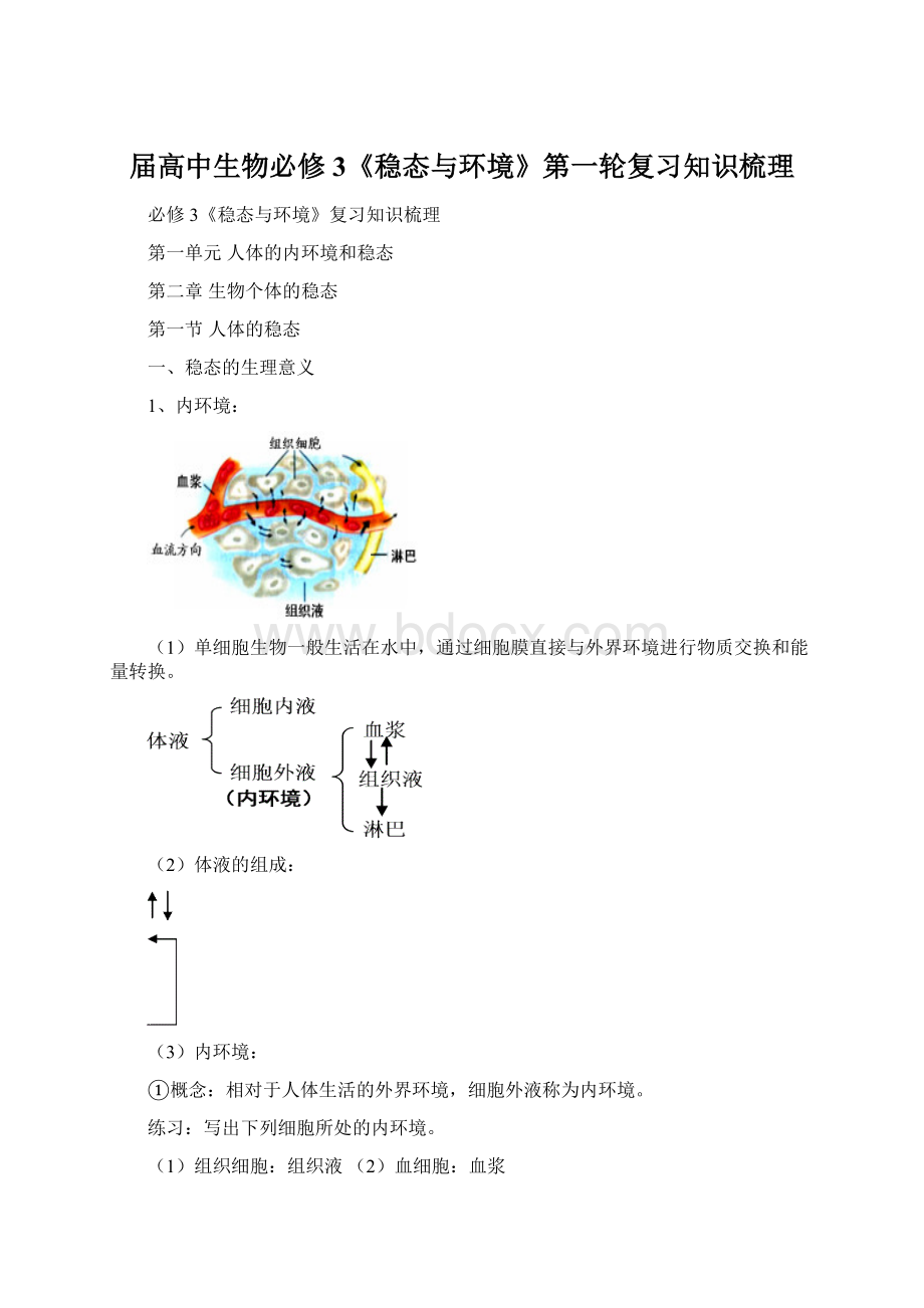 届高中生物必修3《稳态与环境》第一轮复习知识梳理.docx_第1页