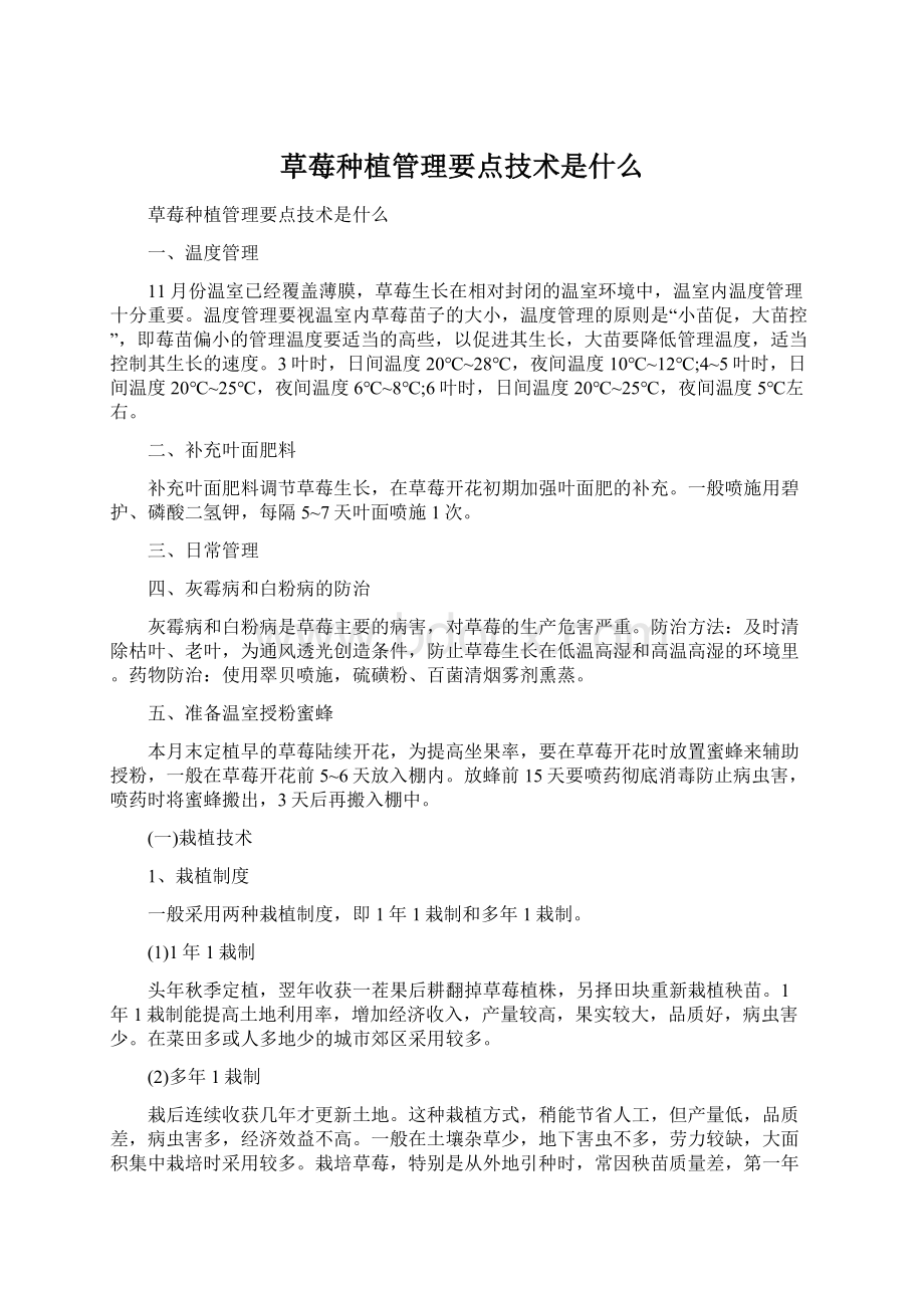 草莓种植管理要点技术是什么文档格式.docx