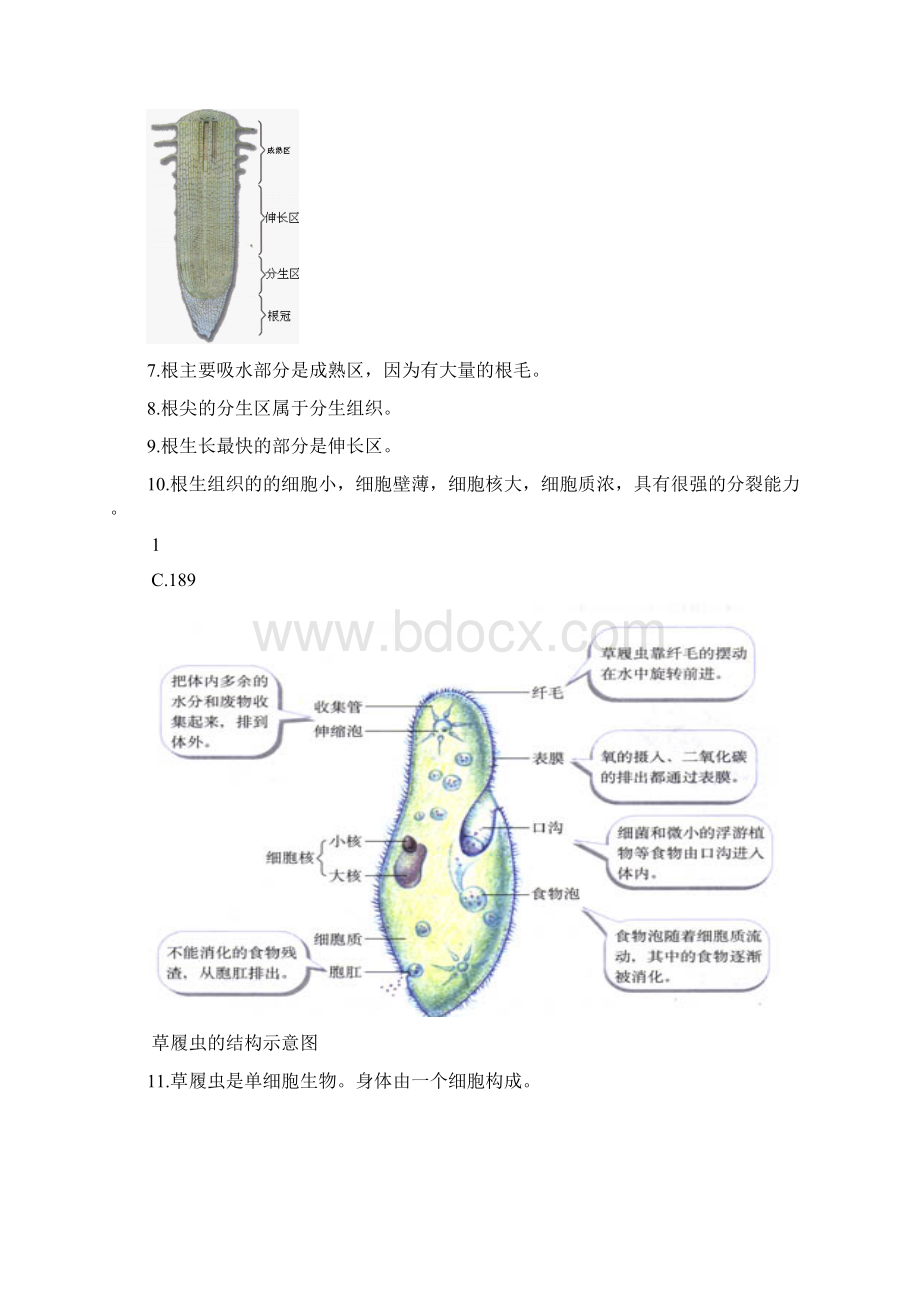 初中生物题 彩图版.docx_第2页