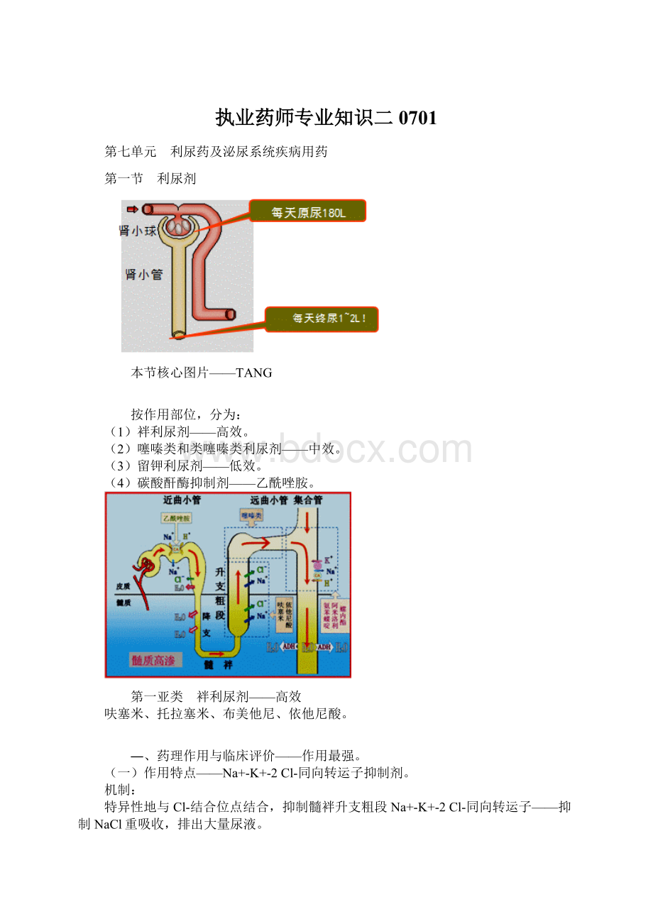 执业药师专业知识二0701文档格式.docx