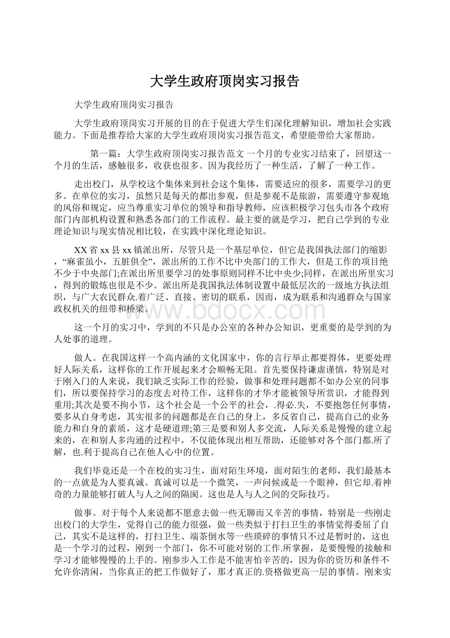 大学生政府顶岗实习报告Word文档格式.docx