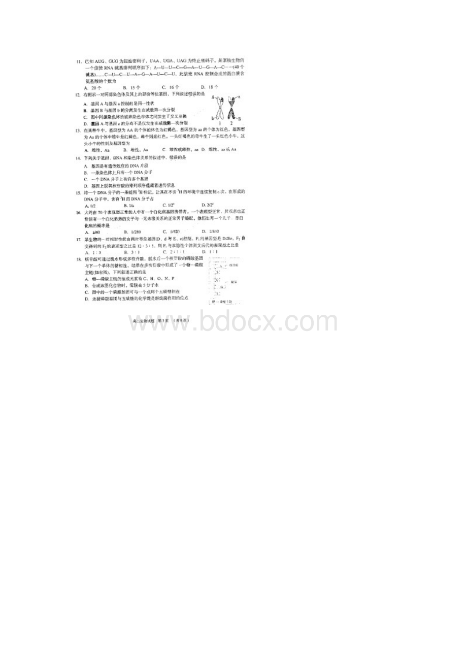 江苏省常熟市学年高二生物上学期期中试题 精Word文档下载推荐.docx_第3页