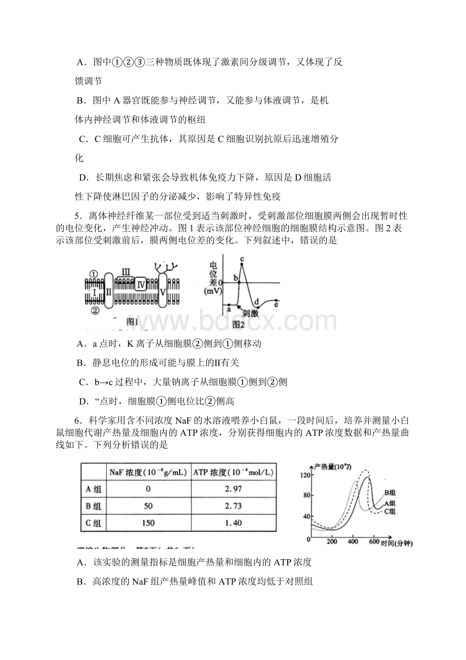 四川省德阳市高中届高三二诊考试理综试题.docx_第2页