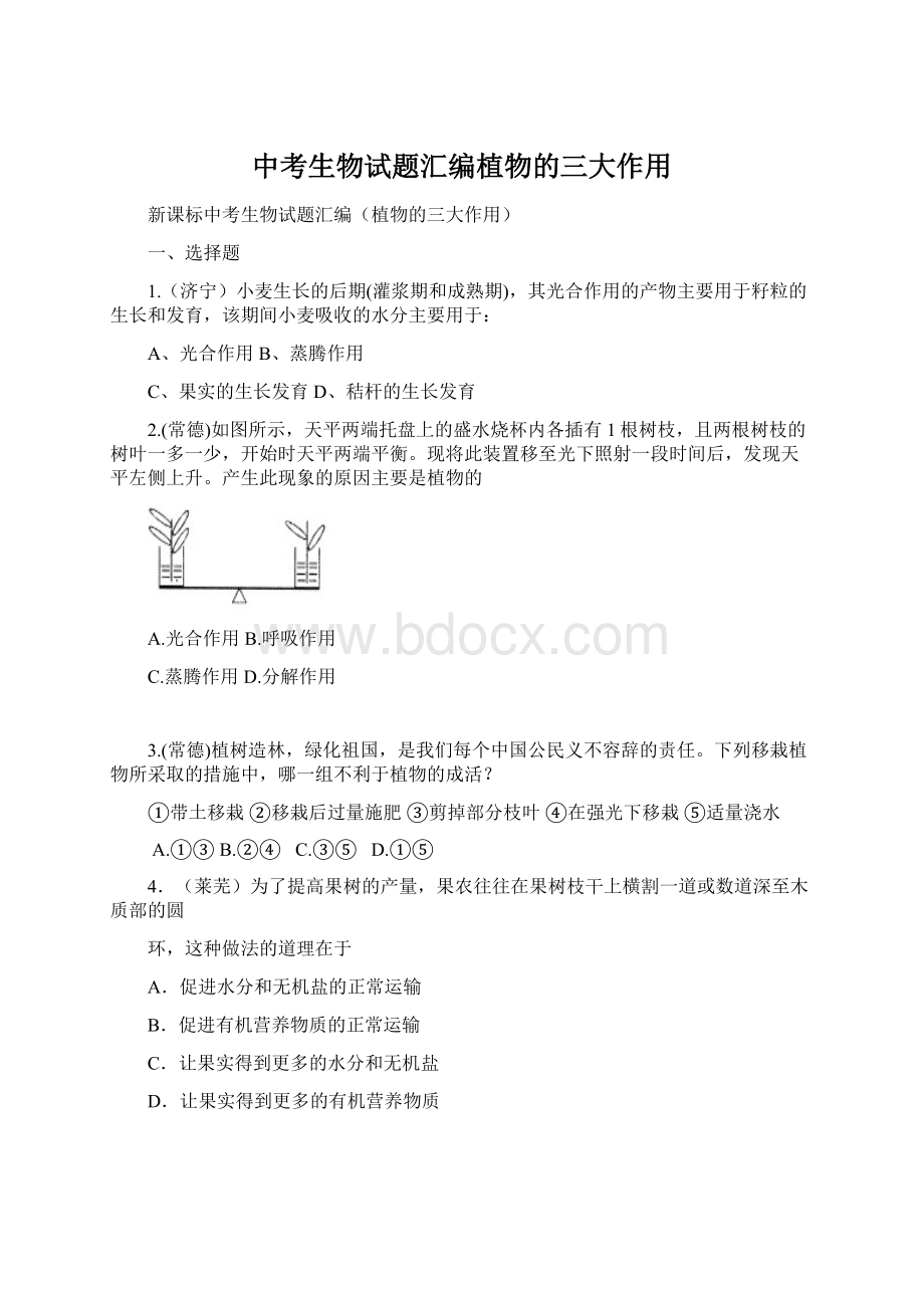 中考生物试题汇编植物的三大作用Word格式.docx