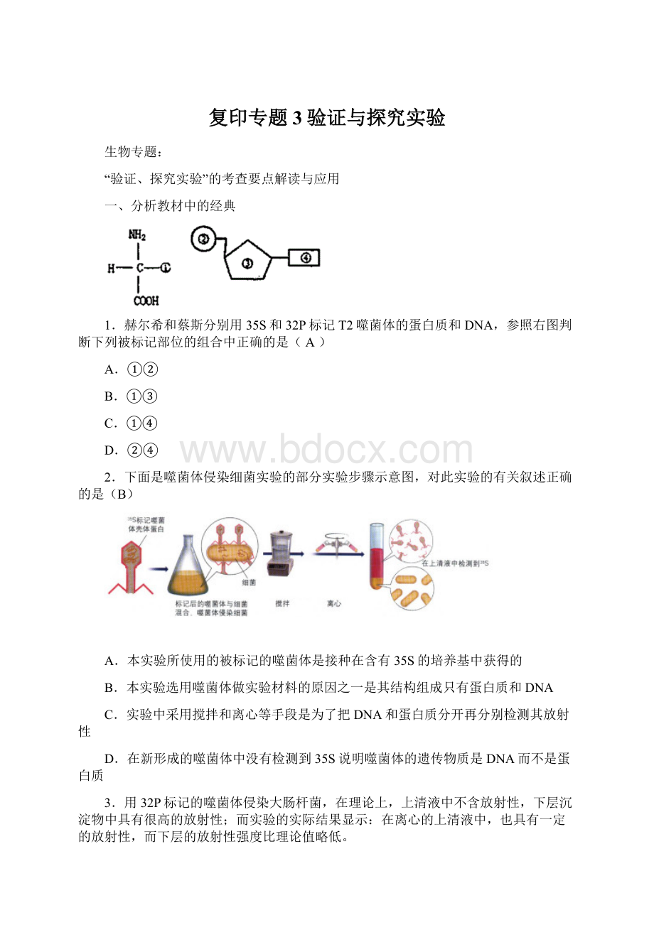 复印专题3验证与探究实验.docx_第1页