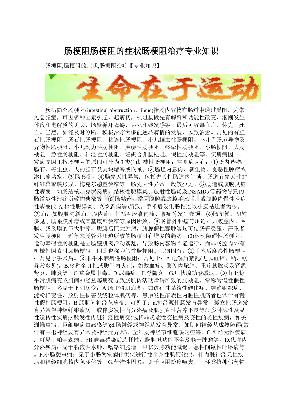 肠梗阻肠梗阻的症状肠梗阻治疗专业知识.docx