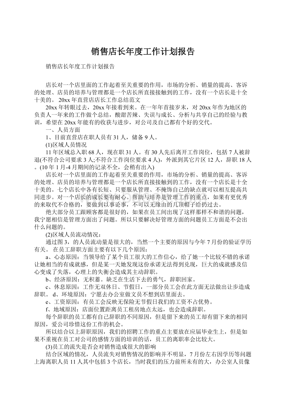 销售店长年度工作计划报告.docx_第1页