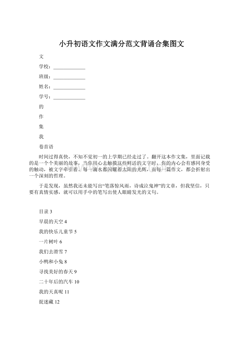 小升初语文作文满分范文背诵合集图文Word格式.docx_第1页