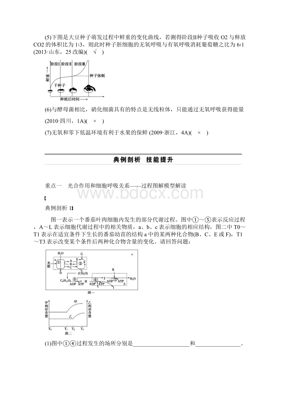 光合作用和细胞呼吸.docx_第3页