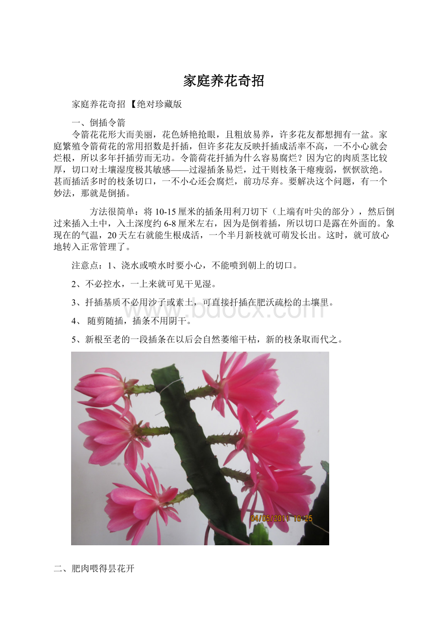 家庭养花奇招文档格式.docx