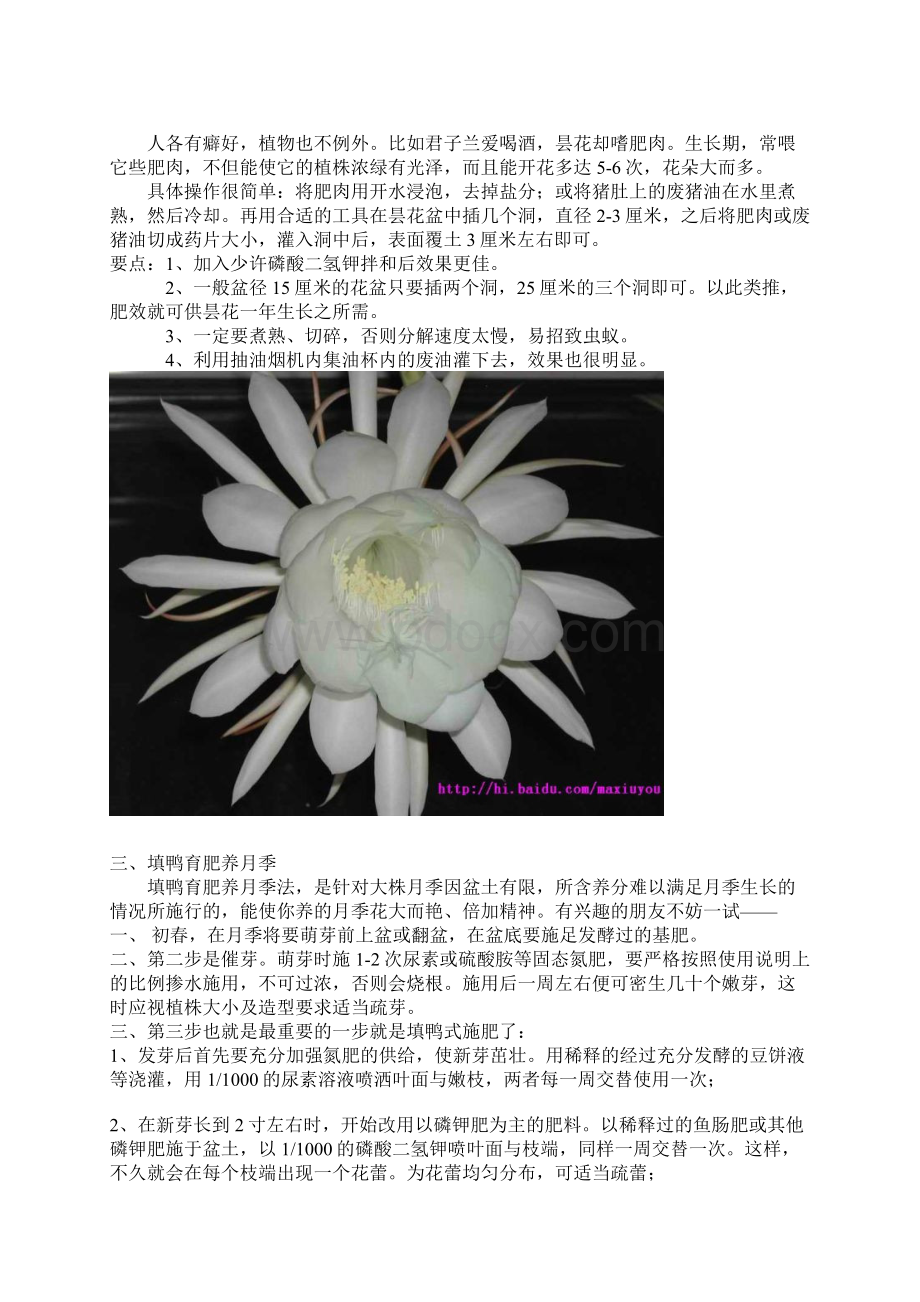 家庭养花奇招.docx_第2页