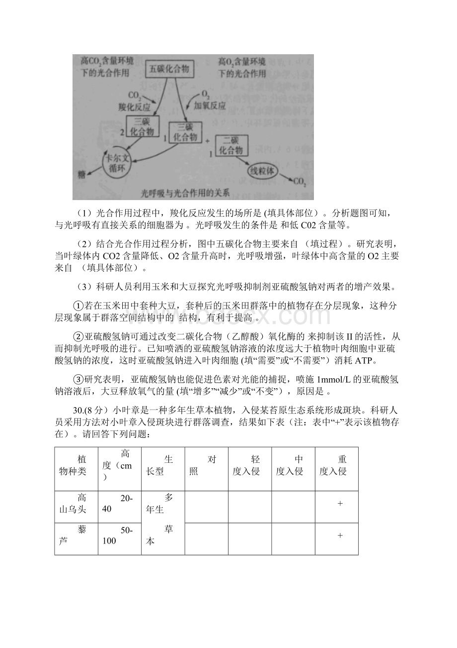 最新河南省焦作市高三下学期第二次模拟考试理综生物试题有标准答案Word格式文档下载.docx_第3页