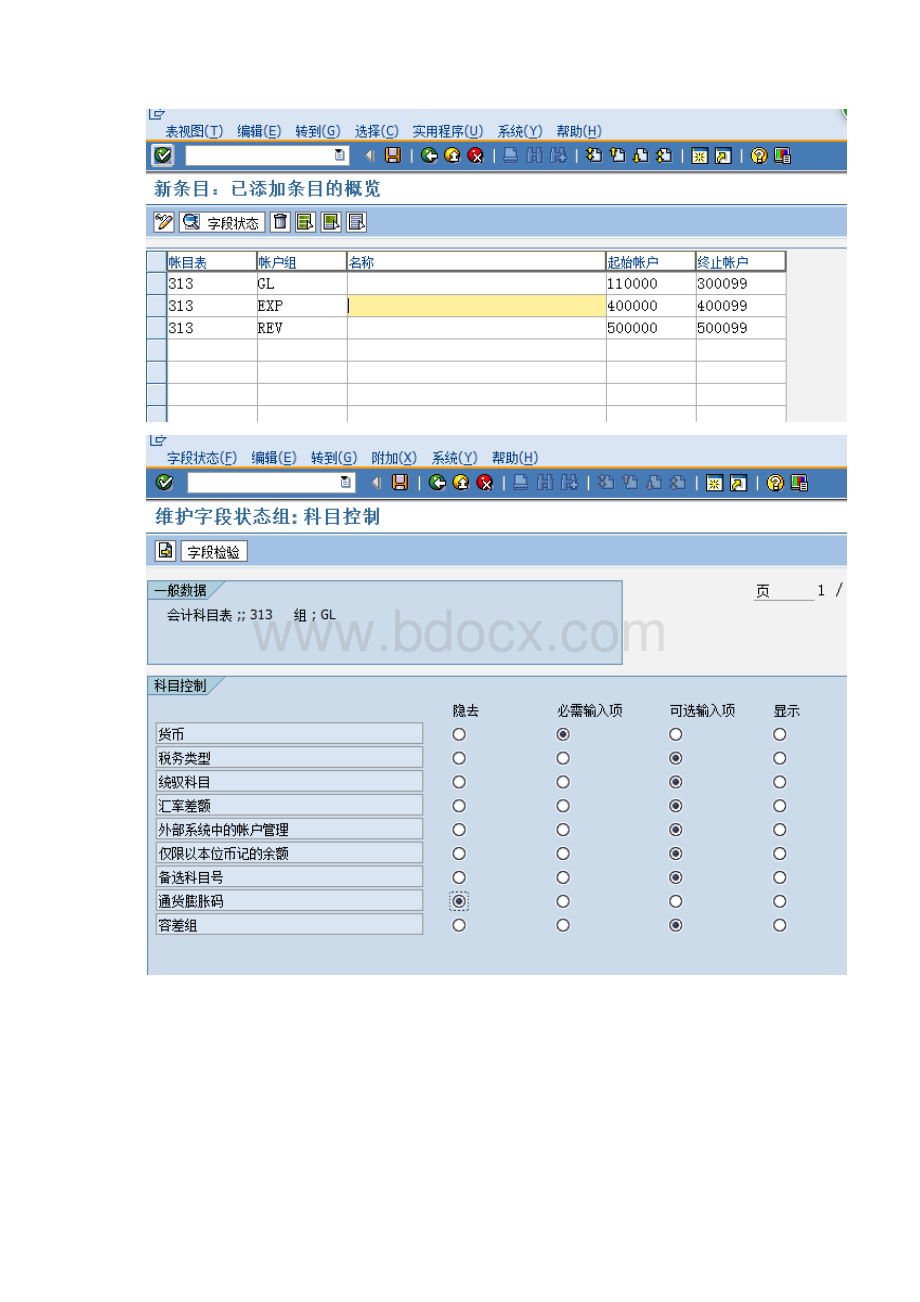 sap总账科目的设置与维护.docx_第2页