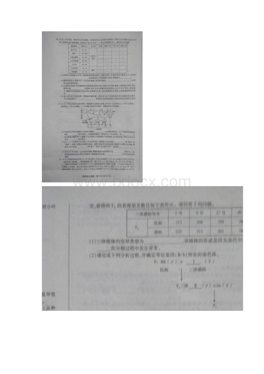 河南省焦作市届高三下学期第二次模拟考试理综生物.docx_第3页