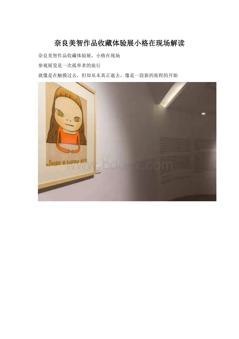 奈良美智作品收藏体验展小格在现场解读.docx